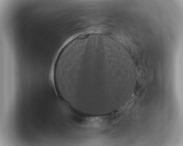 X0000101460100200807281007