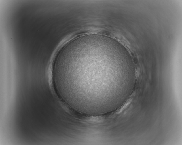 X0000101460101200807281007