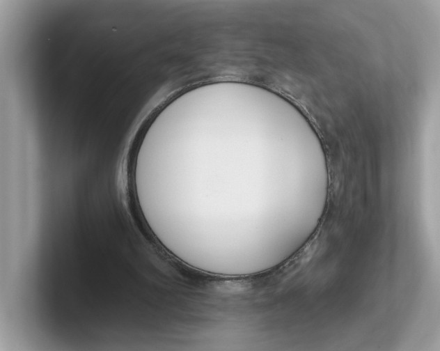 X0000101460102200807281007