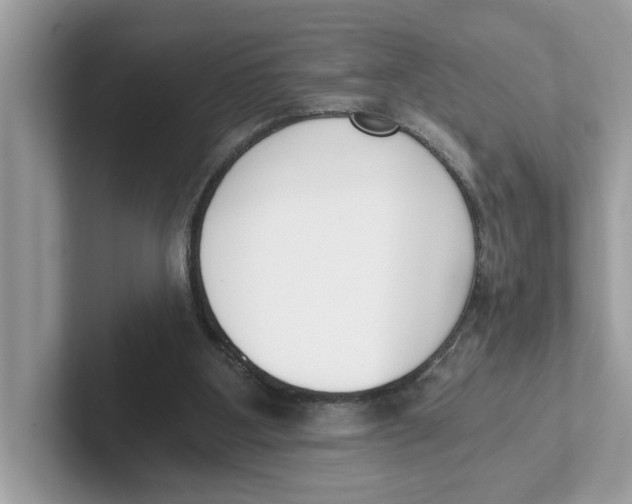 X0000101460107200807281007