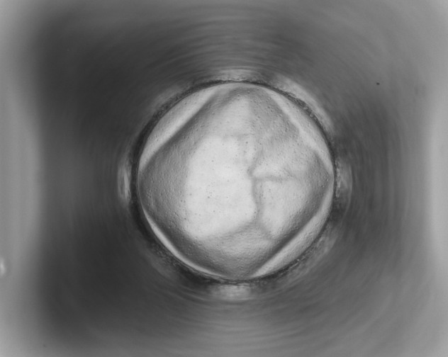 X0000101460110200807281007