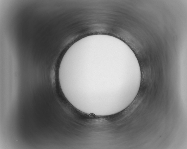 X0000101460112200807281007