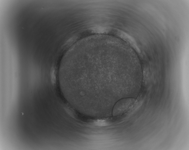 X0000101460114200807281007