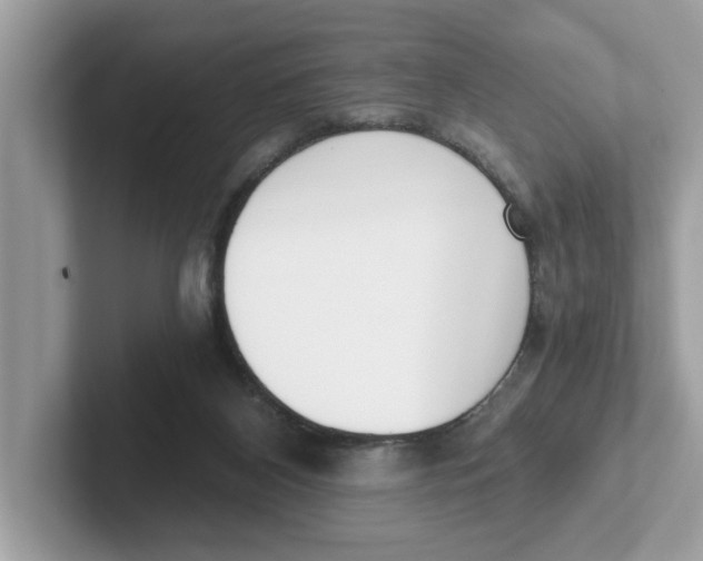 X0000101460116200807281007