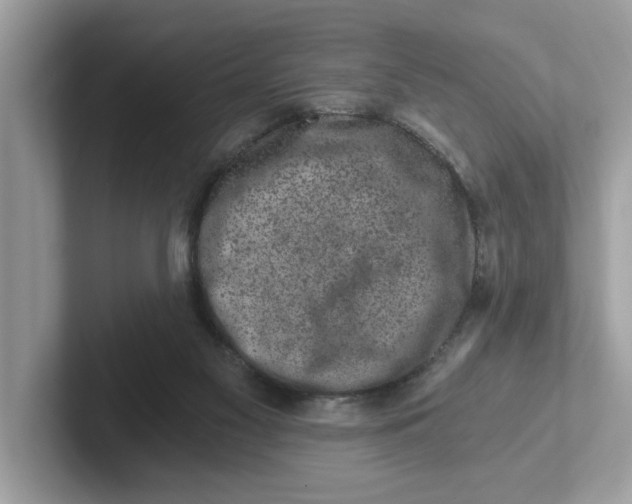 X0000101460117200807281007