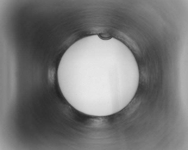 X0000101460118200807281007