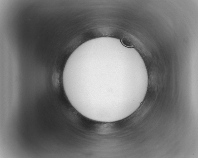 X0000101460122200807281007