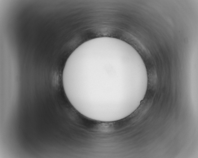 X0000101460126200807281007