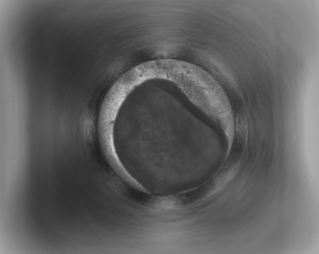 X0000101460127200807281007