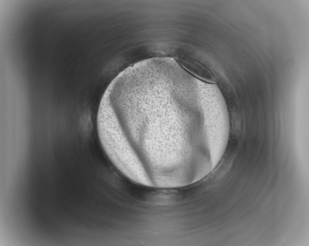 X0000101460128200807281007