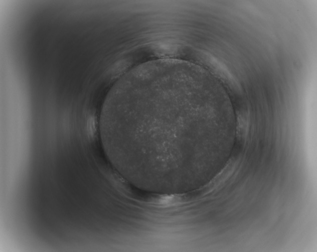 X0000101460130200807281007