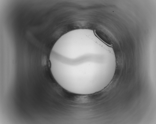 X0000101460132200807281007