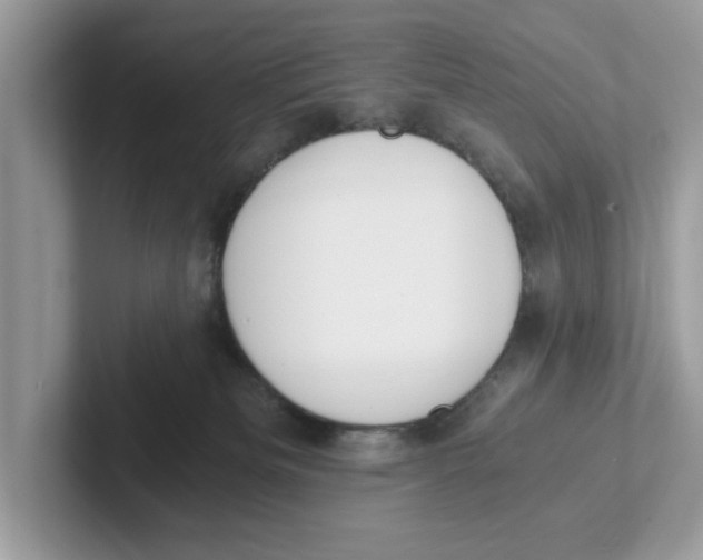 X0000101460133200807281007