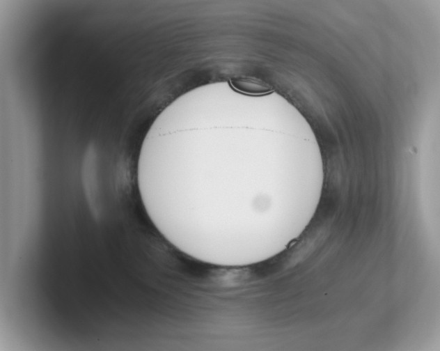 X0000101460135200807281007