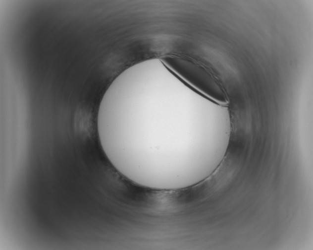 X0000101460136200807281007