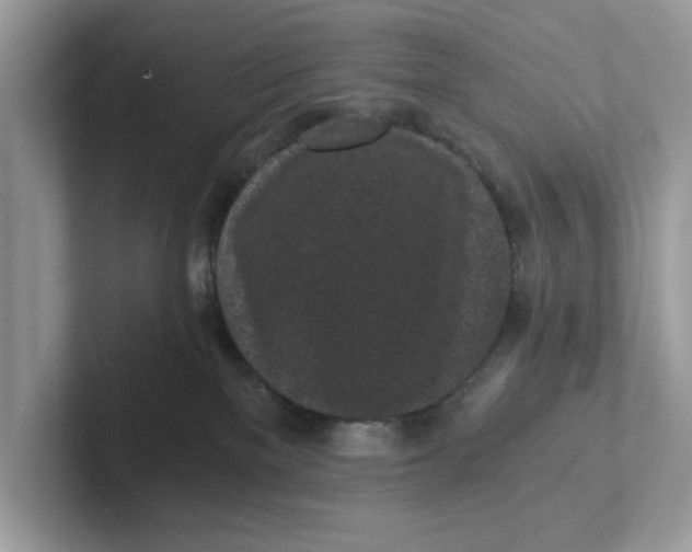 X0000101460137200807281007