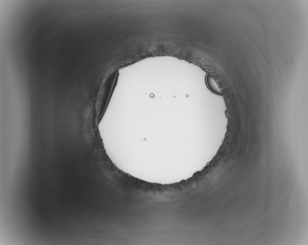 X0000101460144200807281007