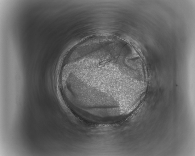 X0000101460145200807281006