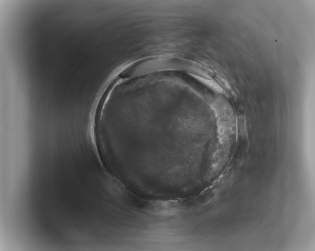 X0000101460147200807281006