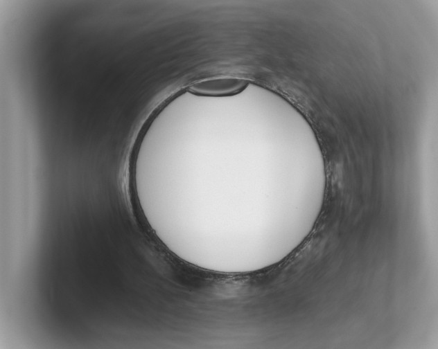 X0000101460148200807281006