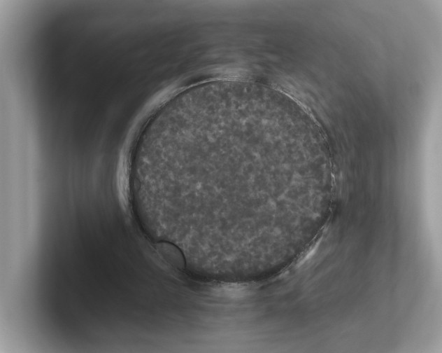 X0000101460149200807281006