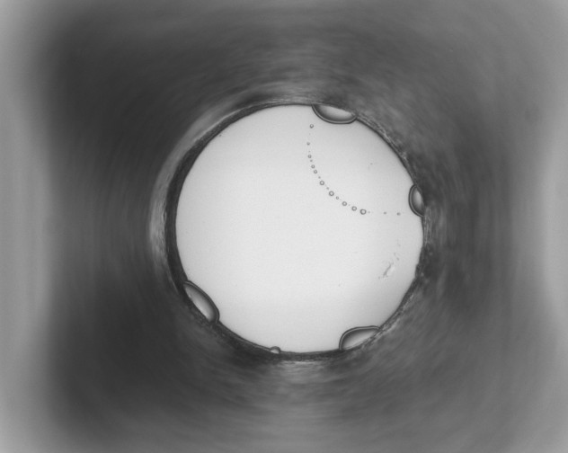 X0000101460150200807281006