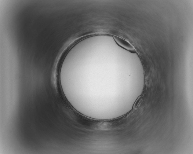 X0000101460152200807281006