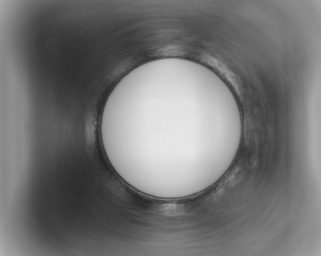 X0000101460153200807281006