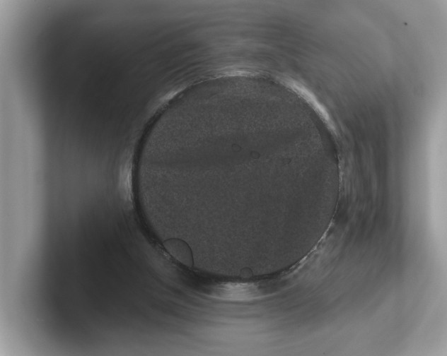 X0000101460154200807281006