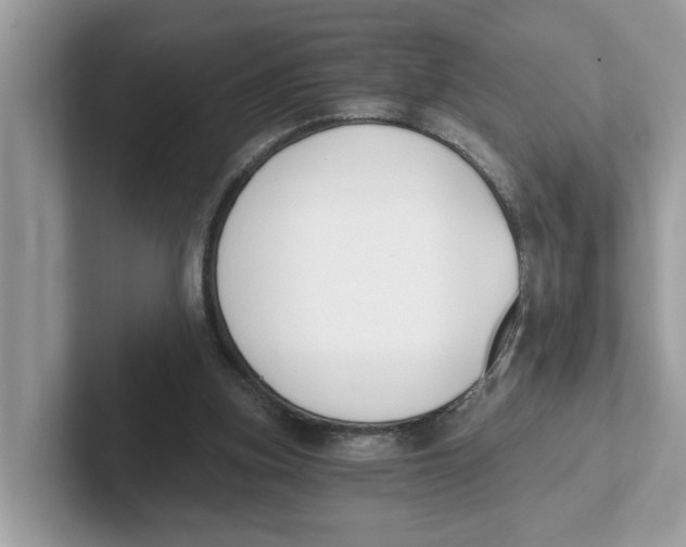 X0000101460155200807281006