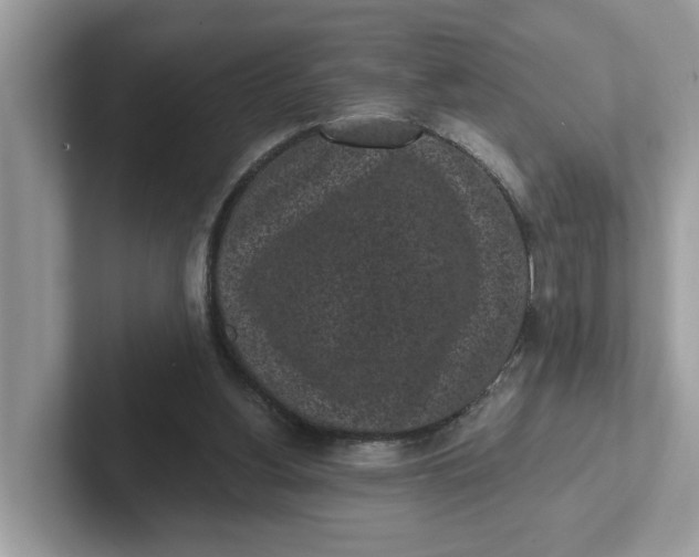 X0000101460156200807281006