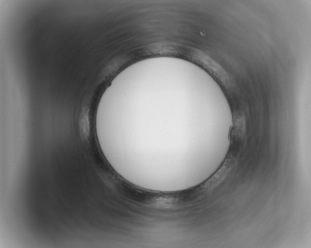 X0000101460158200807281006