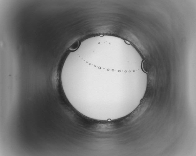 X0000101460160200807281006