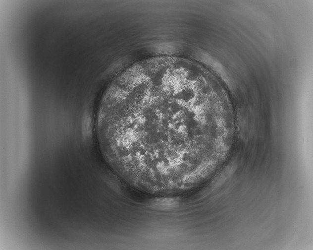 X0000101460161200807281006