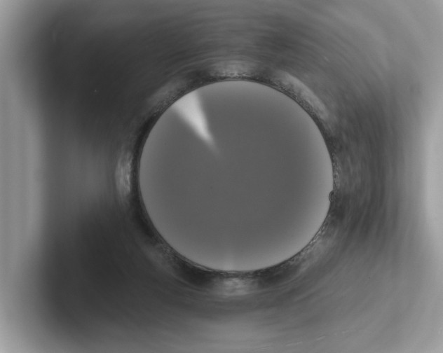 X0000101460163200807281006