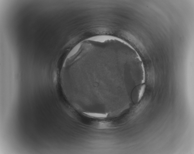 X0000101460165200807281006