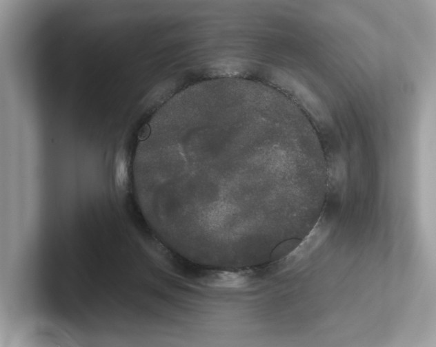 X0000101460166200807281006