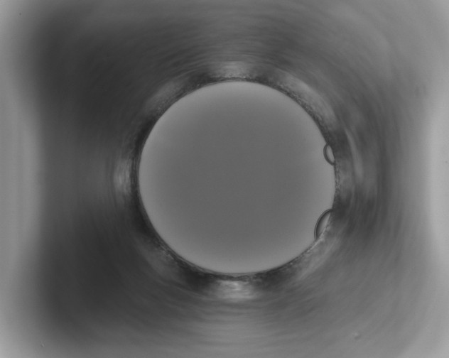 X0000101460167200807281006