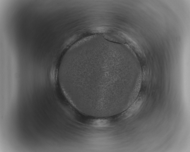 X0000101460168200807281006