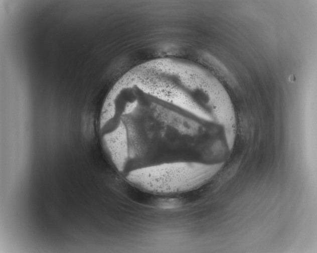 X0000101460169200807281006