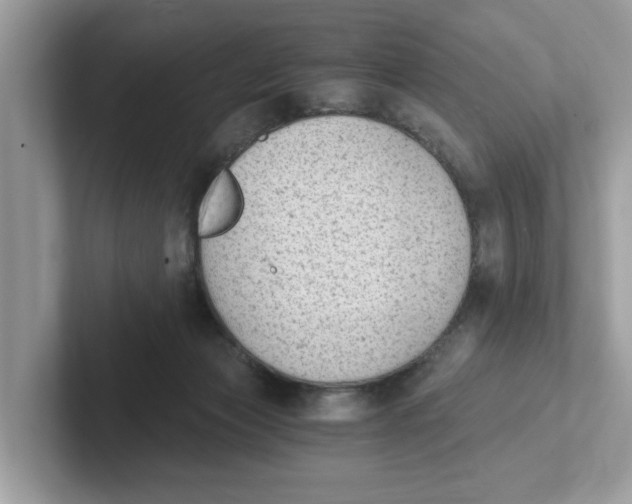 X0000101460173200807281006