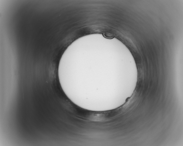 X0000101460174200807281006