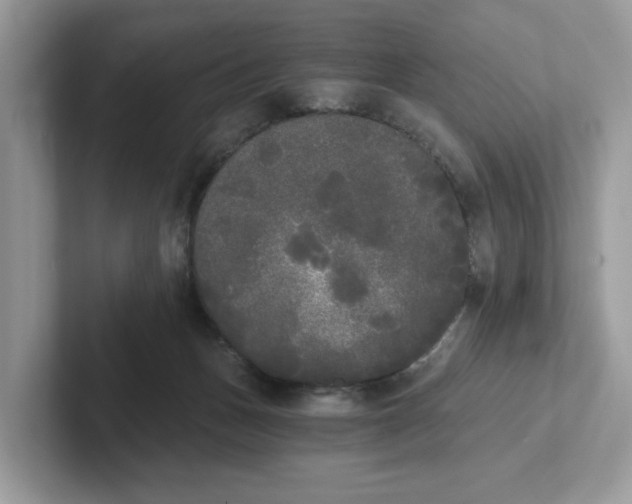 X0000101460175200807281006