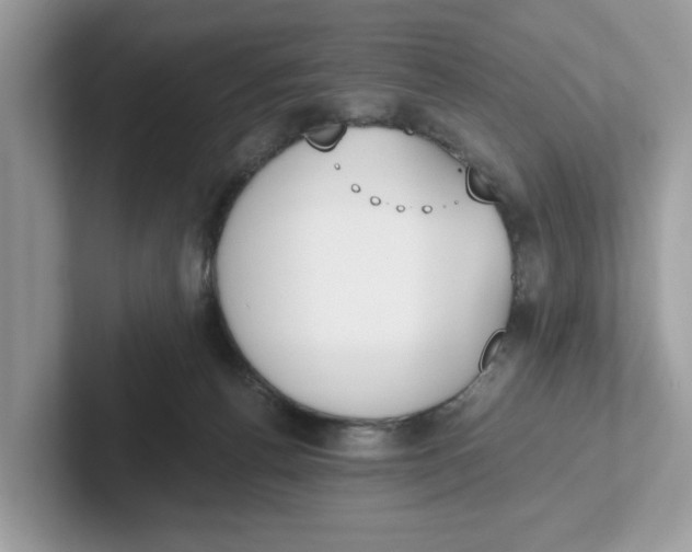 X0000101460176200807281006