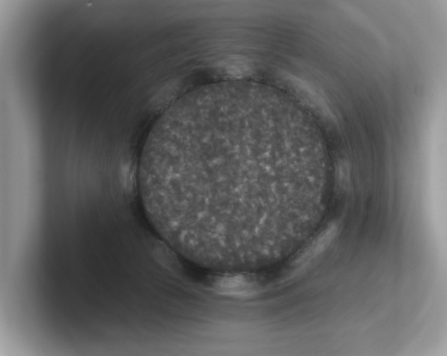 X0000101460177200807281006