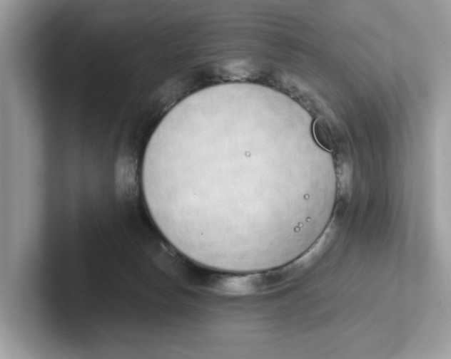 X0000101460178200807281006