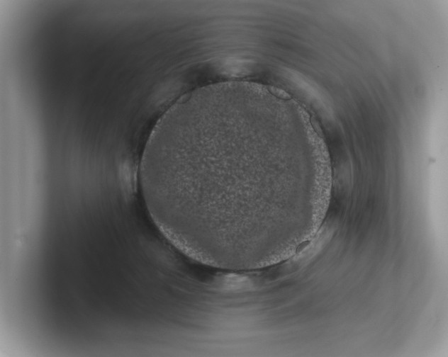 X0000101460180200807281007