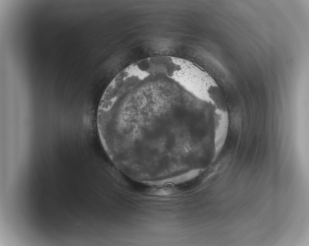 X0000101460181200807281007