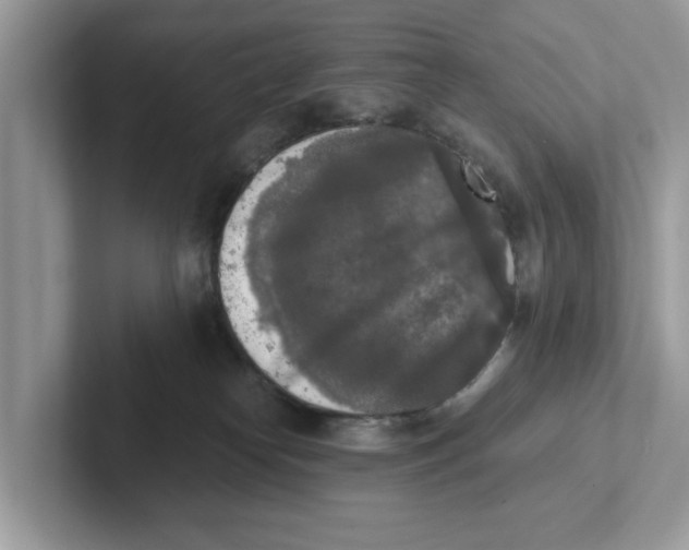 X0000101460182200807281007