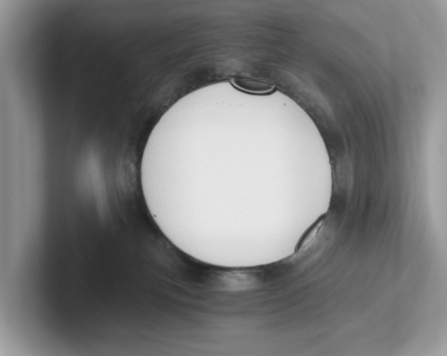 X0000101460183200807281007